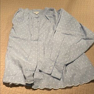 Joie Light Blue Swiss Dot Long Sleeve Blouse